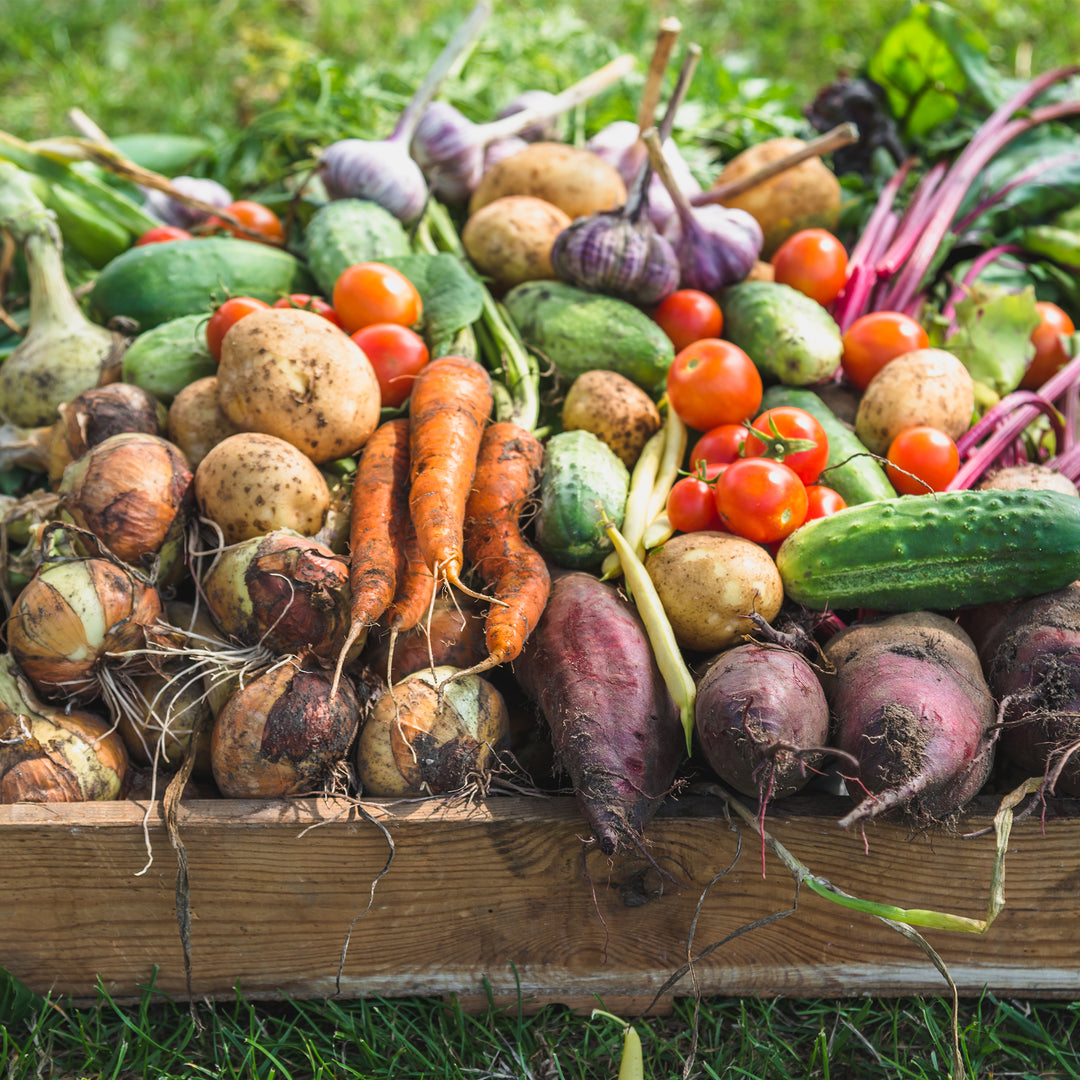 edibles planting calendar growing guide