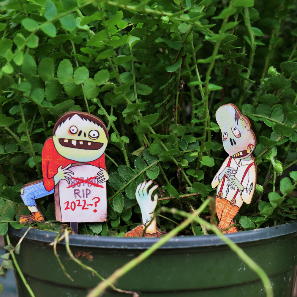 Fancy Plants Houseplant Diorama Kit