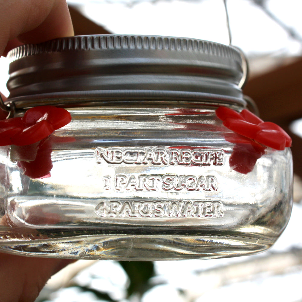 Nature's Way Mason Jar Hummingbird Feeder