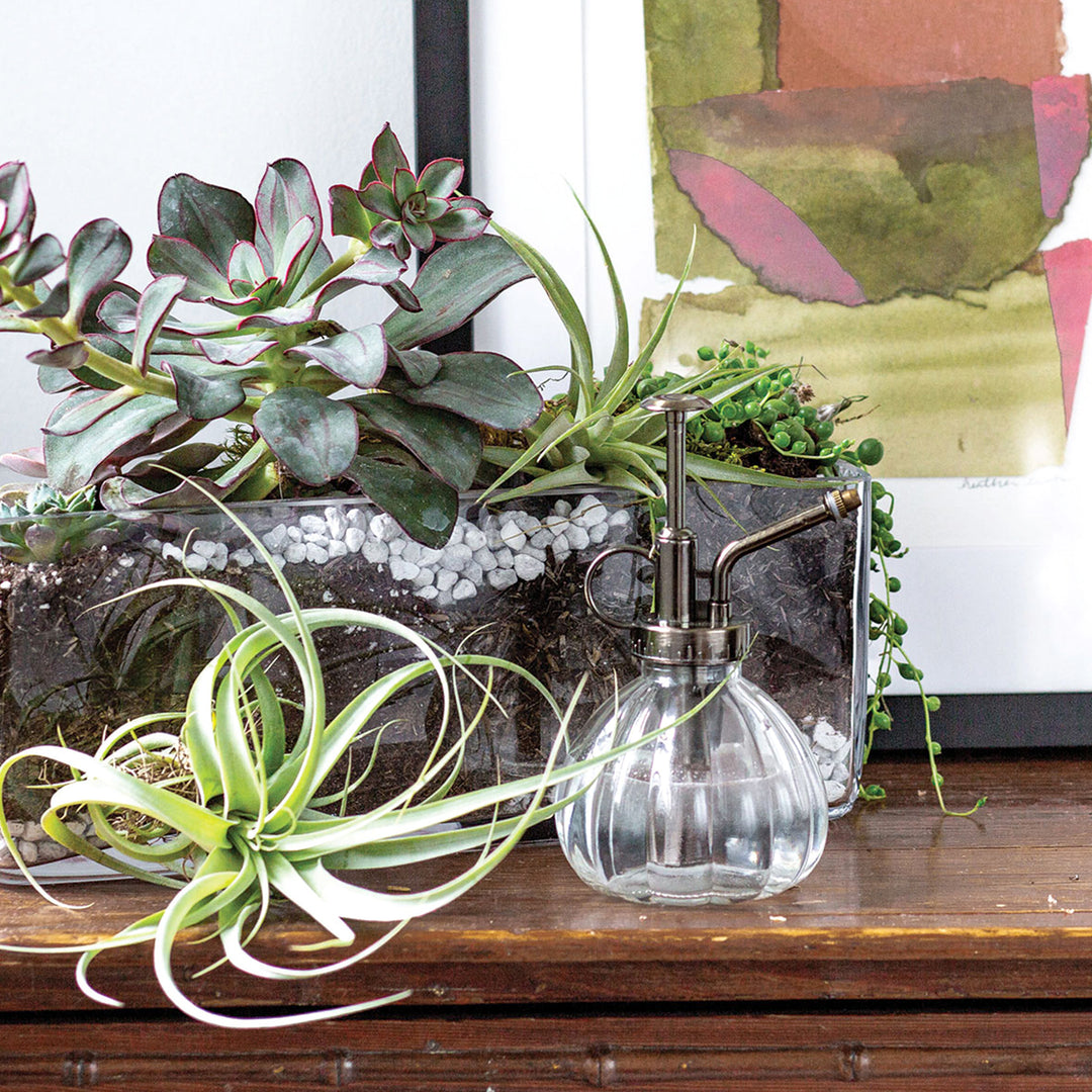 Syndicate Vintage Plant Mister Seaglass